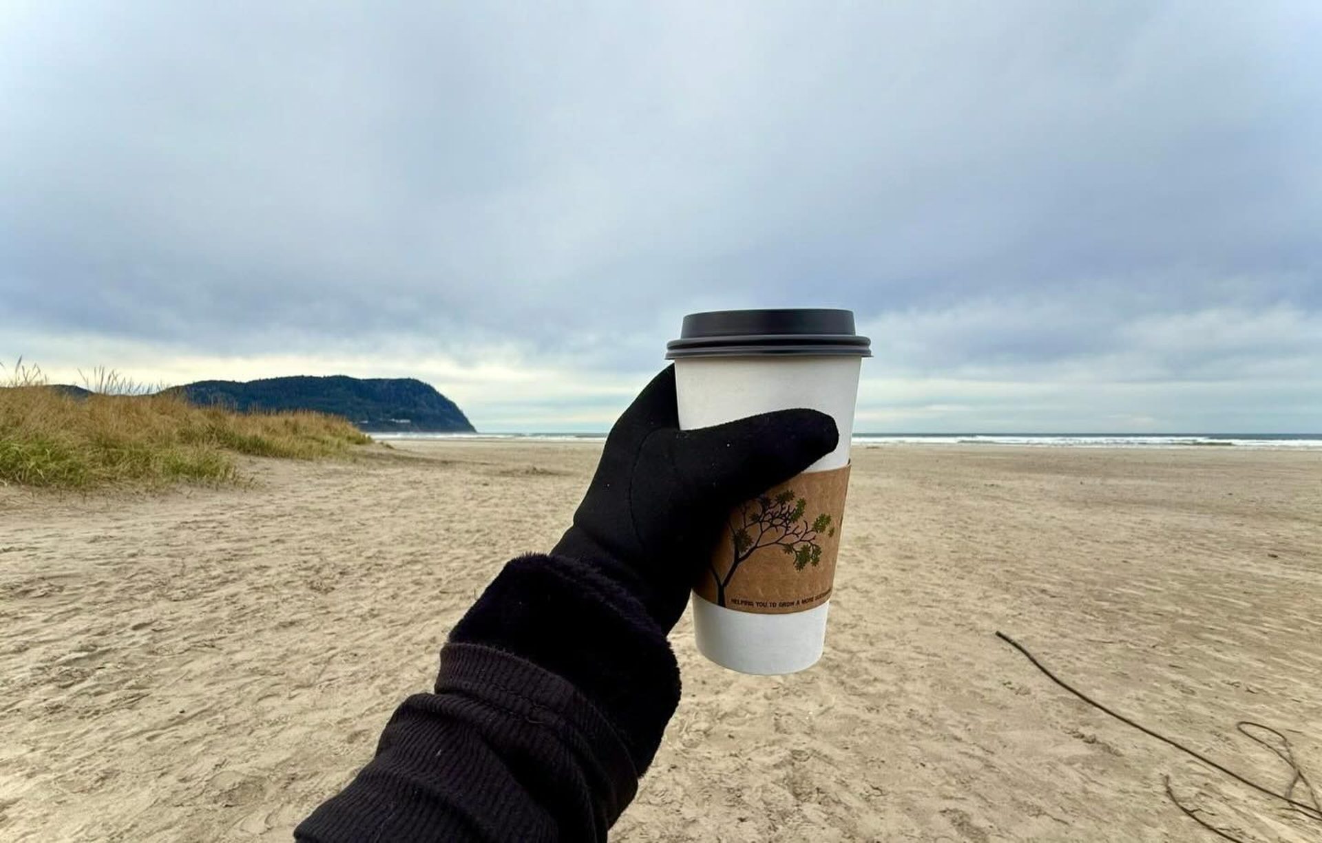 Fresh Coffee Just Steps From the Beach